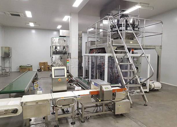 邁馳源頭廠家 全自動給袋式顆粒包裝機 真空包裝實施方案